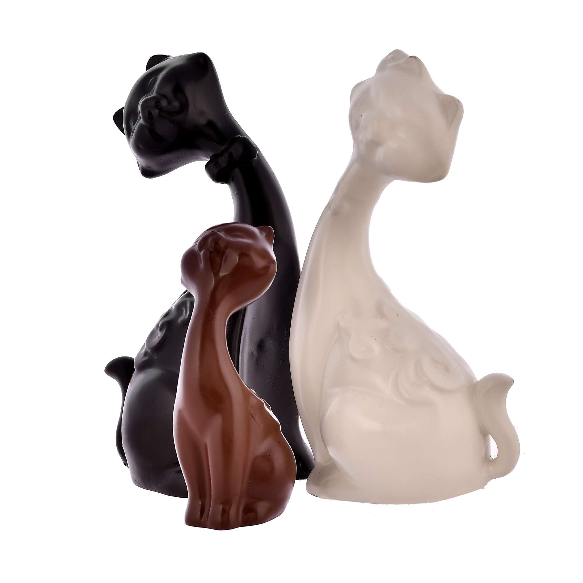 CAT FAMILY