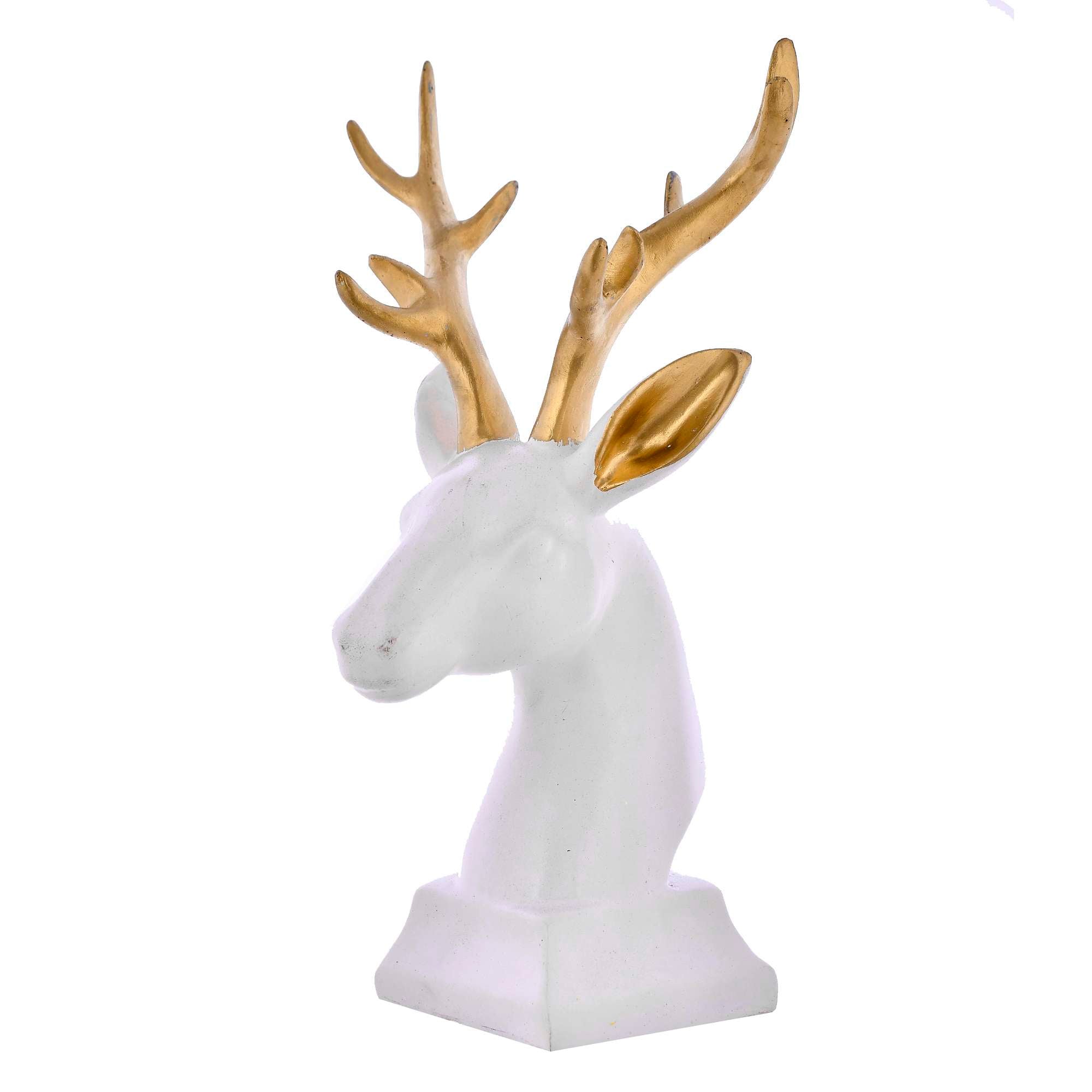 WHITE DEER FACE