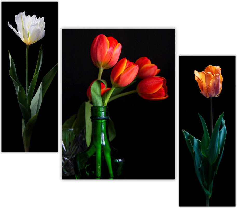 Set Of 3