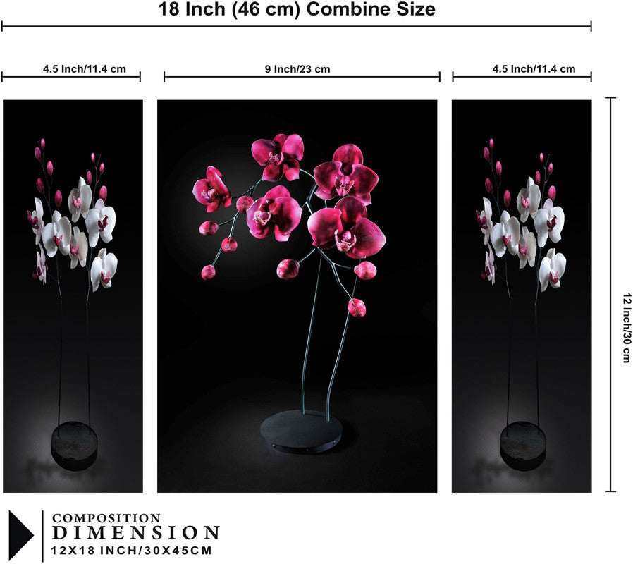 Set Of 3