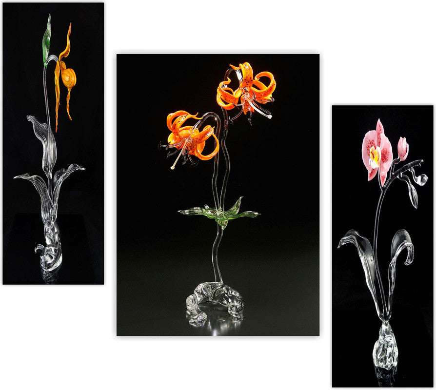 Set Of 3