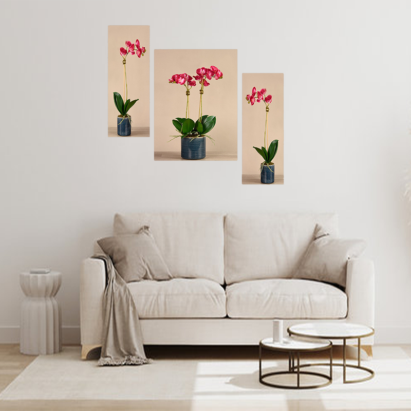 Set Of 3