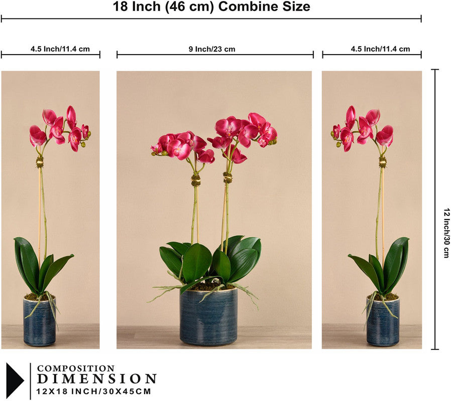 Set Of 3