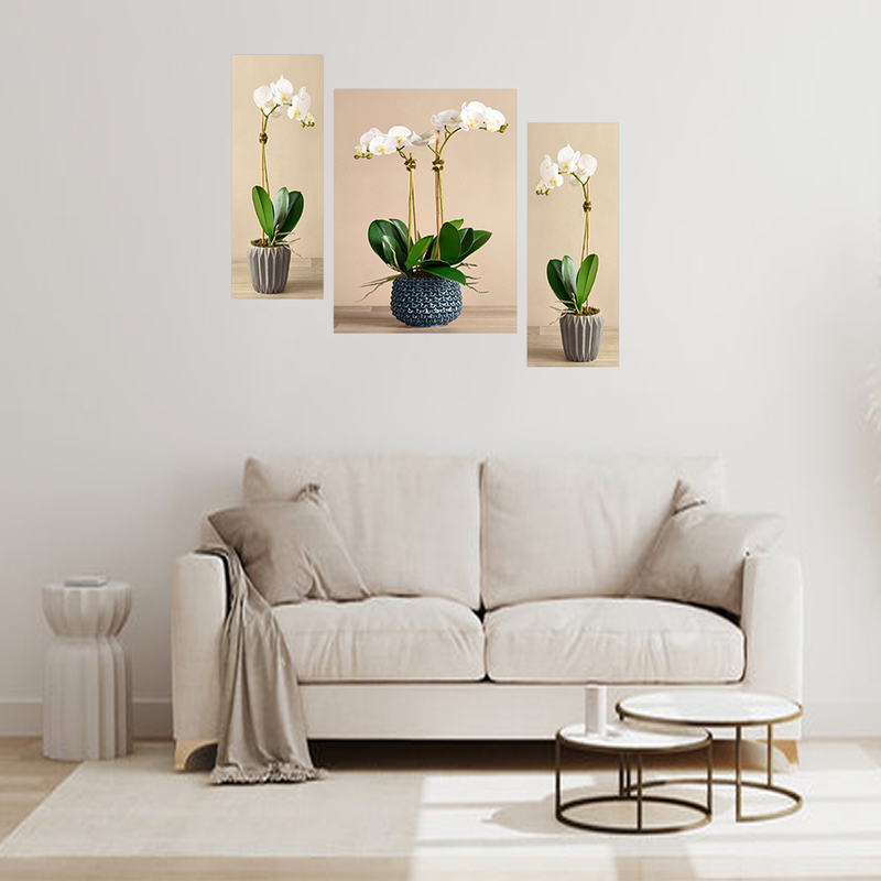 Set Of 3