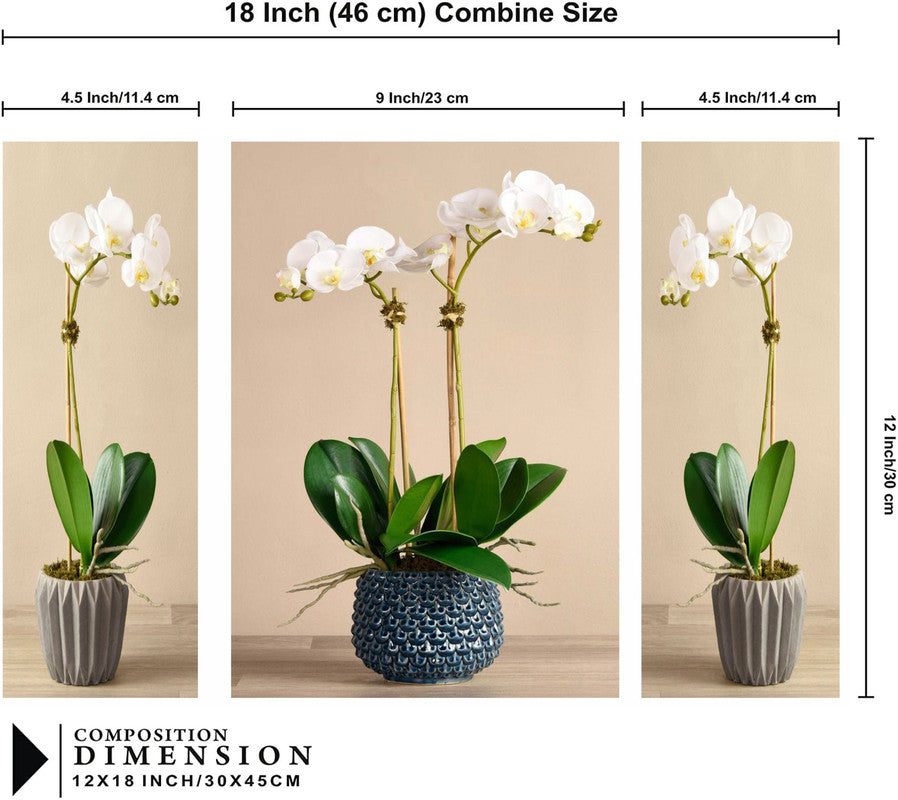 Set Of 3