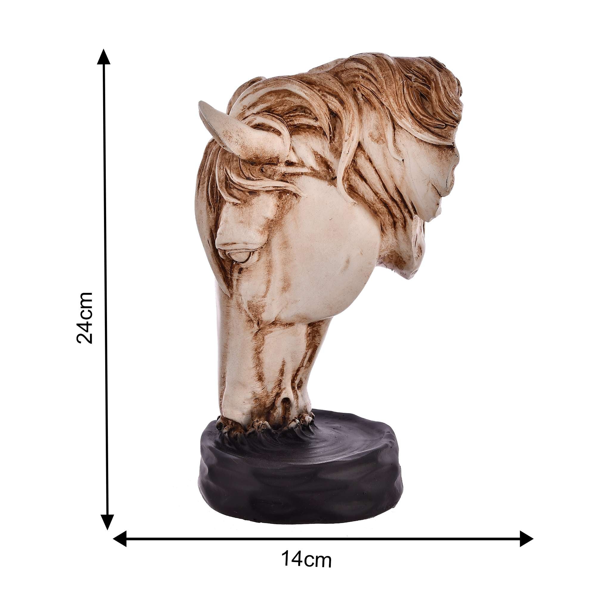HORSE FACE